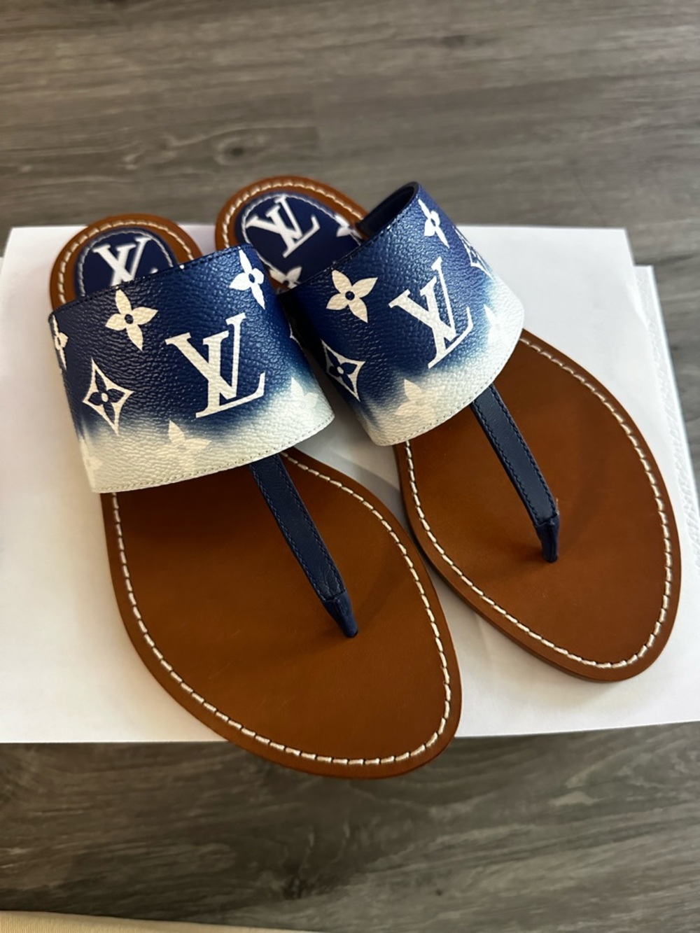Louis Vuitton Women's Palma Flat Thong Sandals Blue White Monogram
